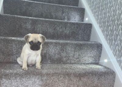 vital electrical ltd facebook gallery 86