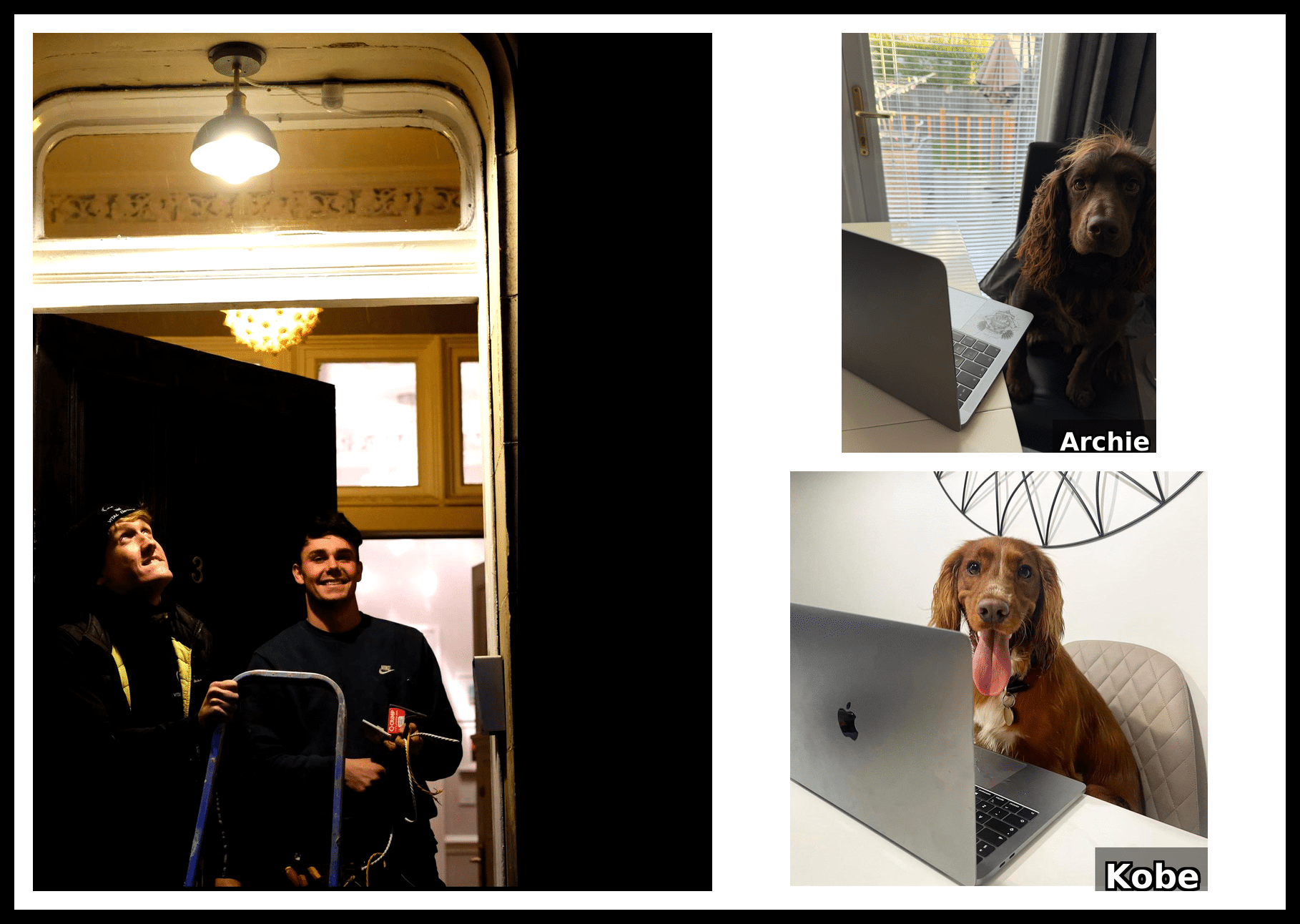 vital collage uniform border